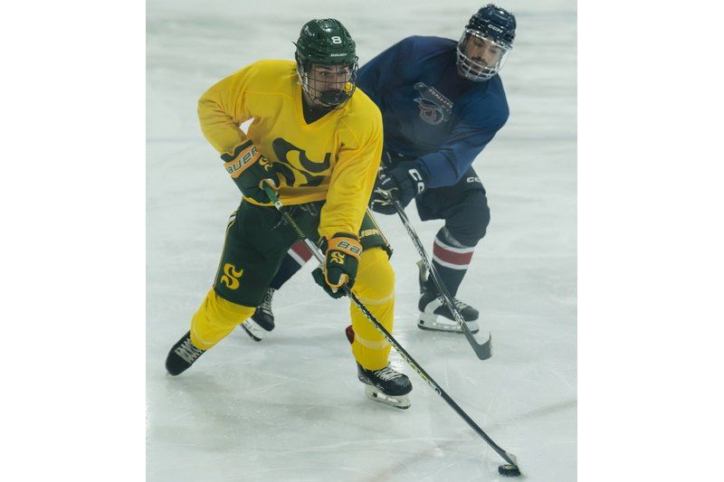 Nouvelle ligue de hockey universitaire : l’Université de Sherbrooke sera de l’aventure
